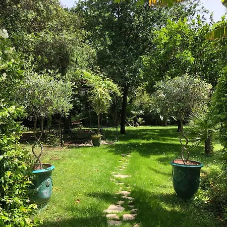 Cap D'antibes 50m From The 3 Bedrooms/pool Vila Antibes