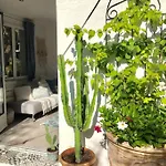 Cap D'antibes 50m From The 3 Bedrooms/pool فيلة