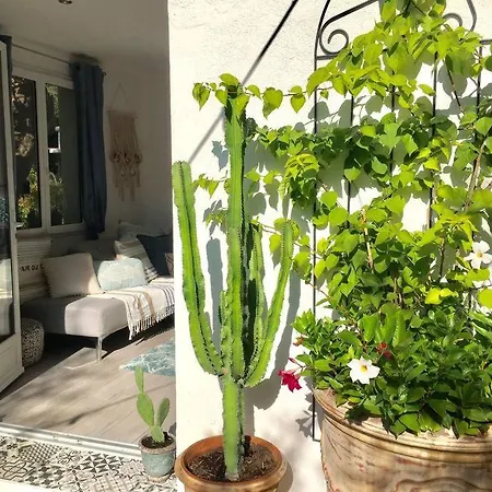 Cap D'antibes 50m From The 3 Bedrooms/pool ヴィラ
